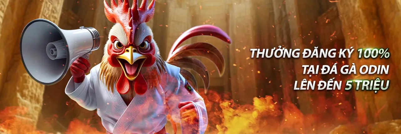 Hình ảnh tổng quan về 1bwm nhà cái